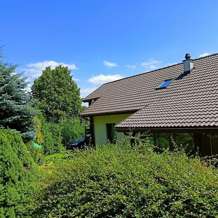 Appartement Sloneczne Wzgorze à Duszniki Zdrój Extérieur photo
