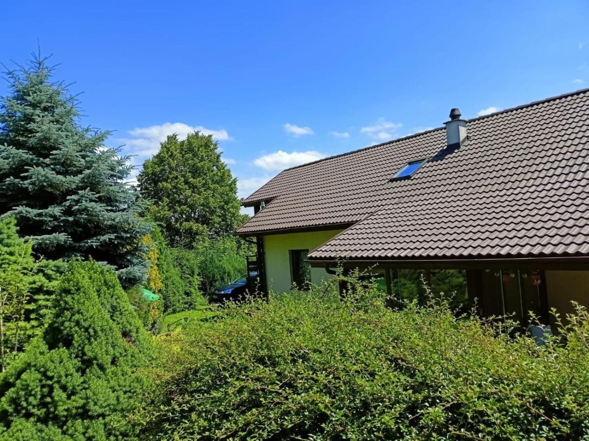 Appartement Sloneczne Wzgorze à Duszniki Zdrój Extérieur photo